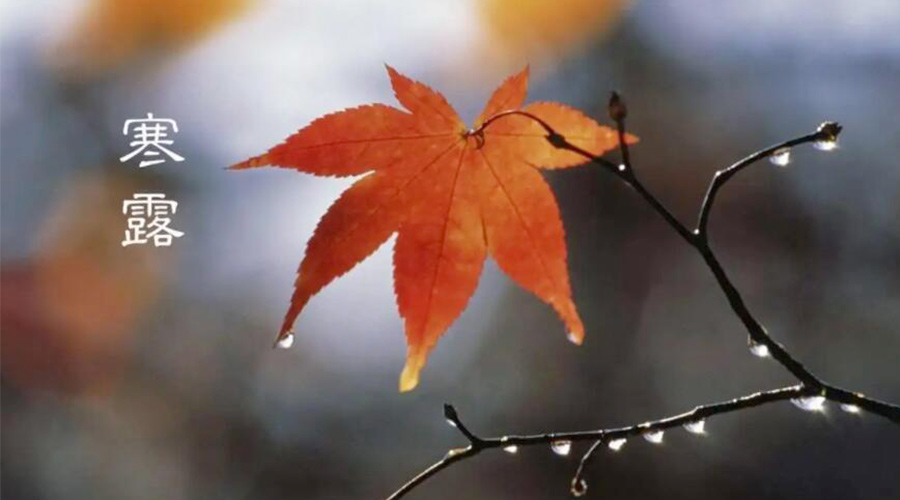 寒露時節！金環電器提醒大家要注意的事項